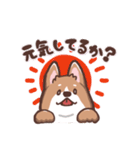 ゆるコーギー2【エセ関西弁】（個別スタンプ：1）