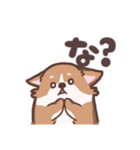 ゆるコーギー2【エセ関西弁】（個別スタンプ：7）