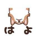 ゆるコーギー2【エセ関西弁】（個別スタンプ：9）