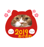 うちの子 新年の挨拶（個別スタンプ：1）