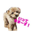 チャノすたんぷ（個別スタンプ：2）
