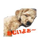 チャノすたんぷ（個別スタンプ：3）