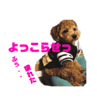 チャノすたんぷ（個別スタンプ：6）