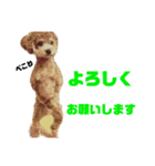 チャノすたんぷ（個別スタンプ：7）