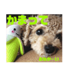 チャノすたんぷ（個別スタンプ：9）
