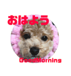 チャノすたんぷ（個別スタンプ：10）