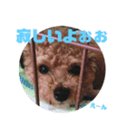 チャノすたんぷ（個別スタンプ：15）