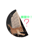 歴代の猫たち（個別スタンプ：13）