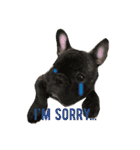 ぶるとんの日々 frenchie Bullton’s days（個別スタンプ：8）