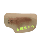 stamp☆（個別スタンプ：5）