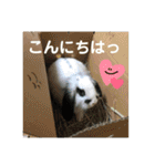 うさぎのモウちゃん。（個別スタンプ：9）
