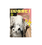 うさぎのモウちゃん。（個別スタンプ：12）