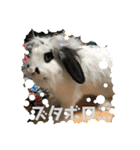 うさぎのモウちゃん。（個別スタンプ：17）