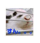 うさぎのモウちゃん。（個別スタンプ：18）