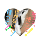 うさぎのモウちゃん。（個別スタンプ：28）