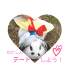 うさぎのモウちゃん。（個別スタンプ：35）