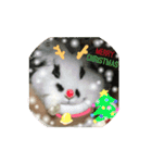 うさぎのモウちゃん。（個別スタンプ：39）