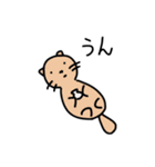 かわいいどうぶつスタンプ1（個別スタンプ：24）