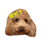 melo_20181120175129（個別スタンプ：1）