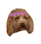 melo_20181120175129（個別スタンプ：2）