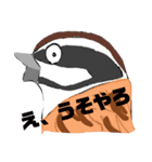 とりまちのとりどり（個別スタンプ：6）