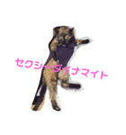 森下家(他)の猫スタンプ（個別スタンプ：4）