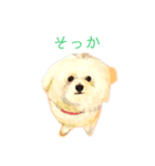 World travel of Bichon ！ 03（個別スタンプ：2）