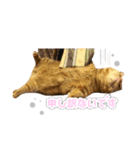 クッキーとビッケ（個別スタンプ：4）