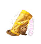 クッキーとビッケ（個別スタンプ：12）