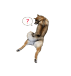 柴犬こなつとむぎ（個別スタンプ：32）