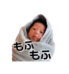コヨピスタンプ（個別スタンプ：23）