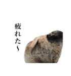 アザラシの発言3（個別スタンプ：20）