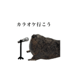 アザラシの発言3（個別スタンプ：26）