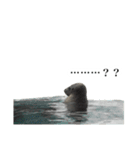 アザラシの発言3（個別スタンプ：29）