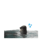 アザラシの発言3（個別スタンプ：40）