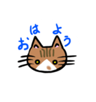 ぶちののら（個別スタンプ：1）