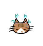 ぶちののら（個別スタンプ：5）