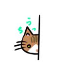 ぶちののら（個別スタンプ：13）