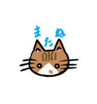 ぶちののら（個別スタンプ：14）