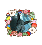 旺旺の日常生活（個別スタンプ：5）
