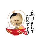 旺旺の日常生活（個別スタンプ：14）