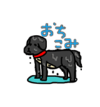 犬のちよ（個別スタンプ：3）