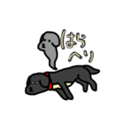 犬のちよ（個別スタンプ：5）
