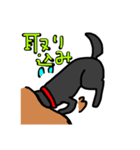 犬のちよ（個別スタンプ：6）