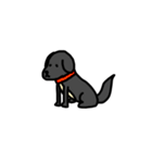 犬のちよ（個別スタンプ：10）