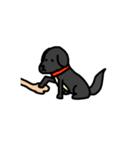 犬のちよ（個別スタンプ：11）