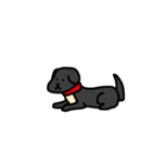 犬のちよ（個別スタンプ：12）