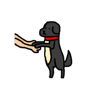 犬のちよ（個別スタンプ：14）