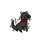 犬のちよ（個別スタンプ：16）