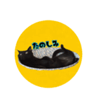 猫ねこCAT3（個別スタンプ：25）